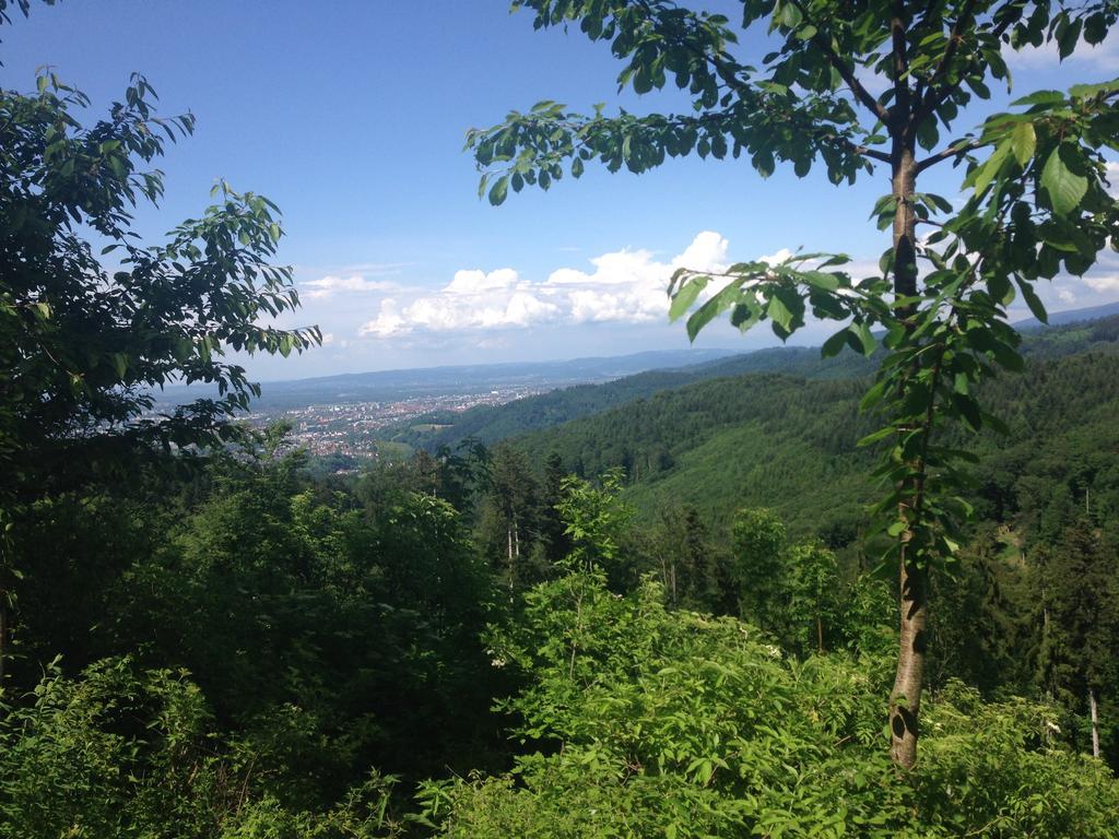 Familien Themen-Appartement Freiburg In Soelden 2 Schlafzimmer Dış mekan fotoğraf