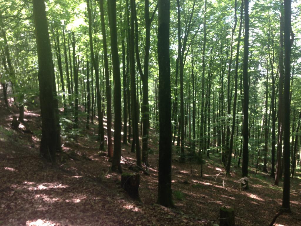Familien Themen-Appartement Freiburg In Soelden 2 Schlafzimmer Dış mekan fotoğraf